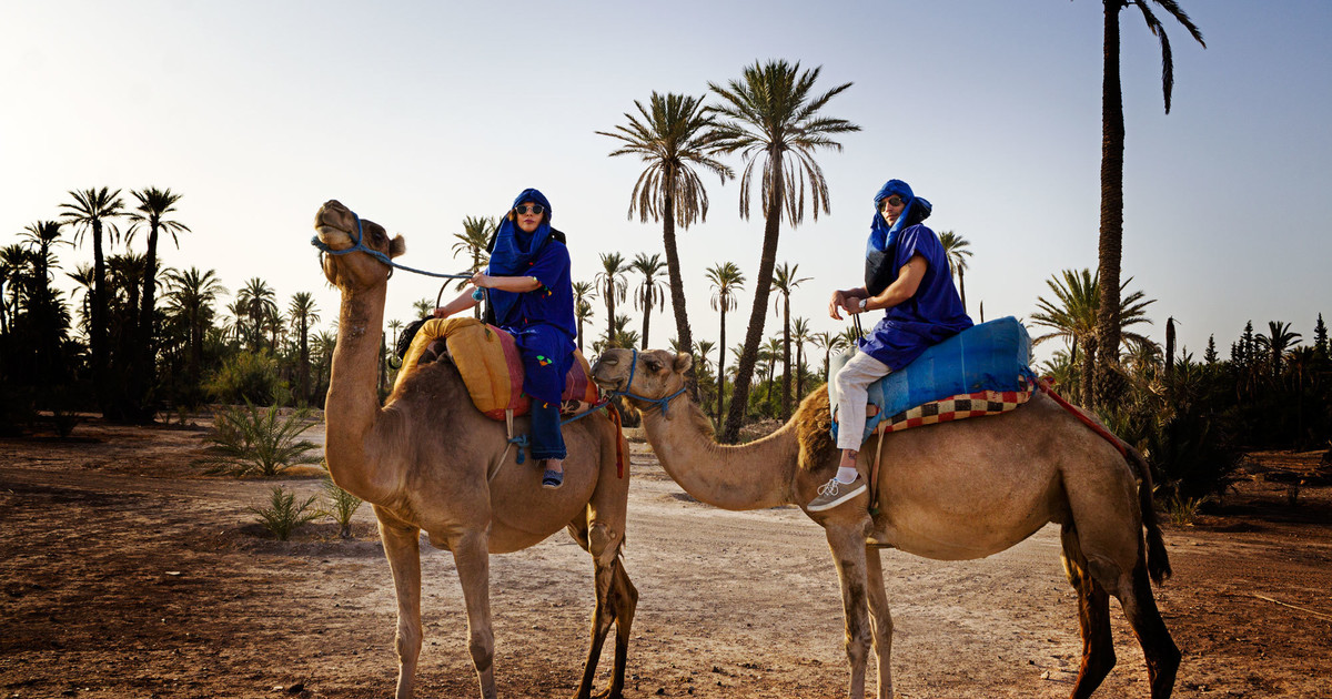 Morocco Camel Ride